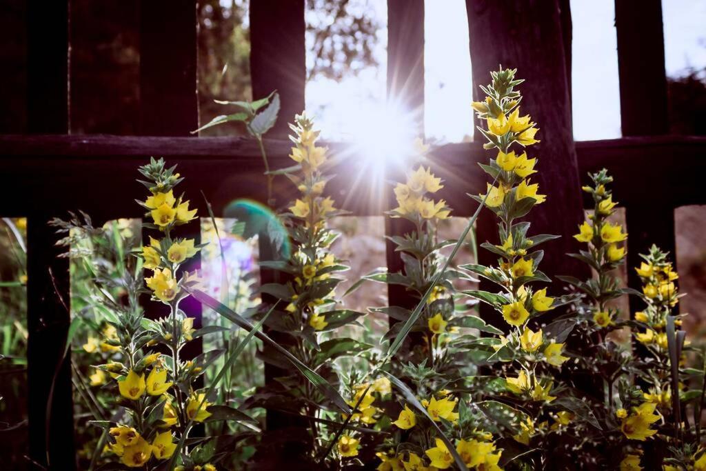 Appartement Enjoy Cozy Romance Hills Forest Gardens Views Sauna Whirlpool Bath *
