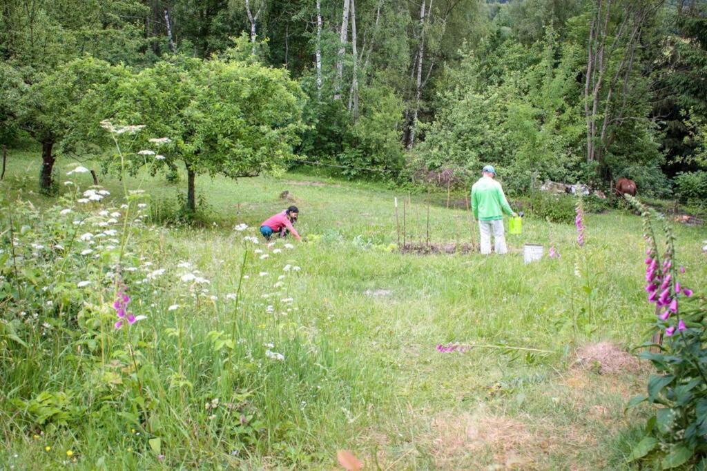 Enjoy Cozy Romance Hills Forest Gardens Views Sauna Whirlpool Bath Апартаменты
