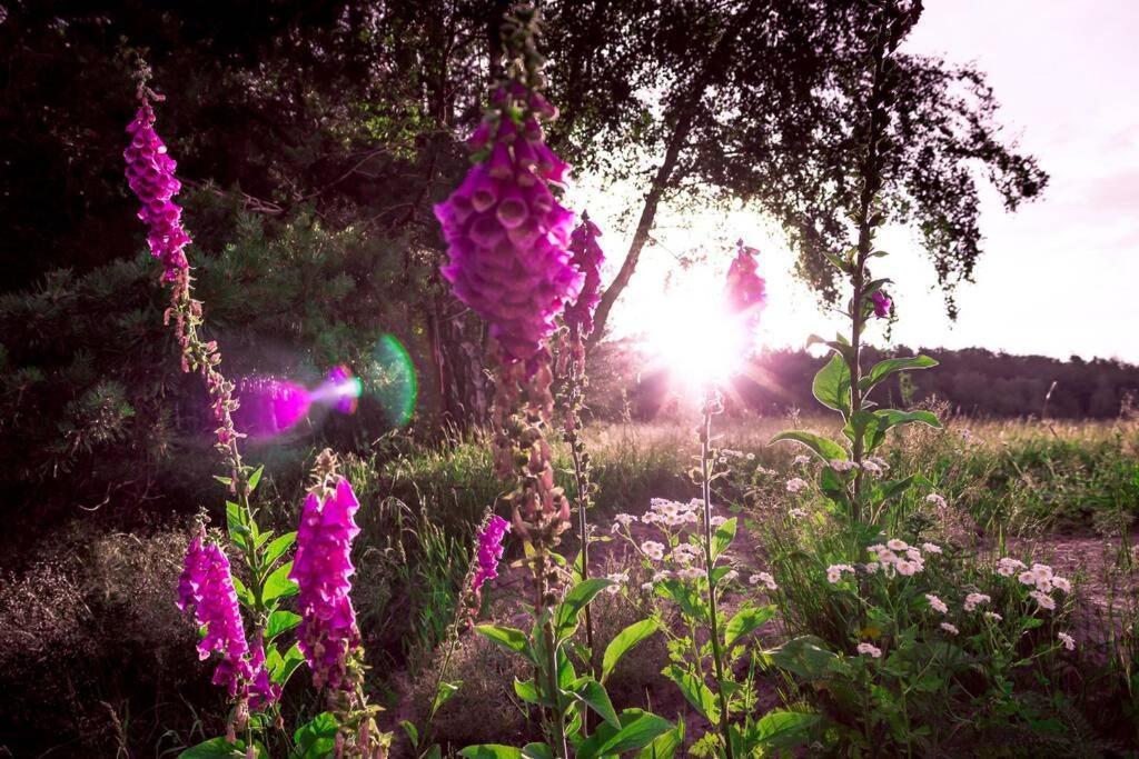 Апартаменты Enjoy Cozy Romance Hills Forest Gardens Views Sauna Whirlpool Bath